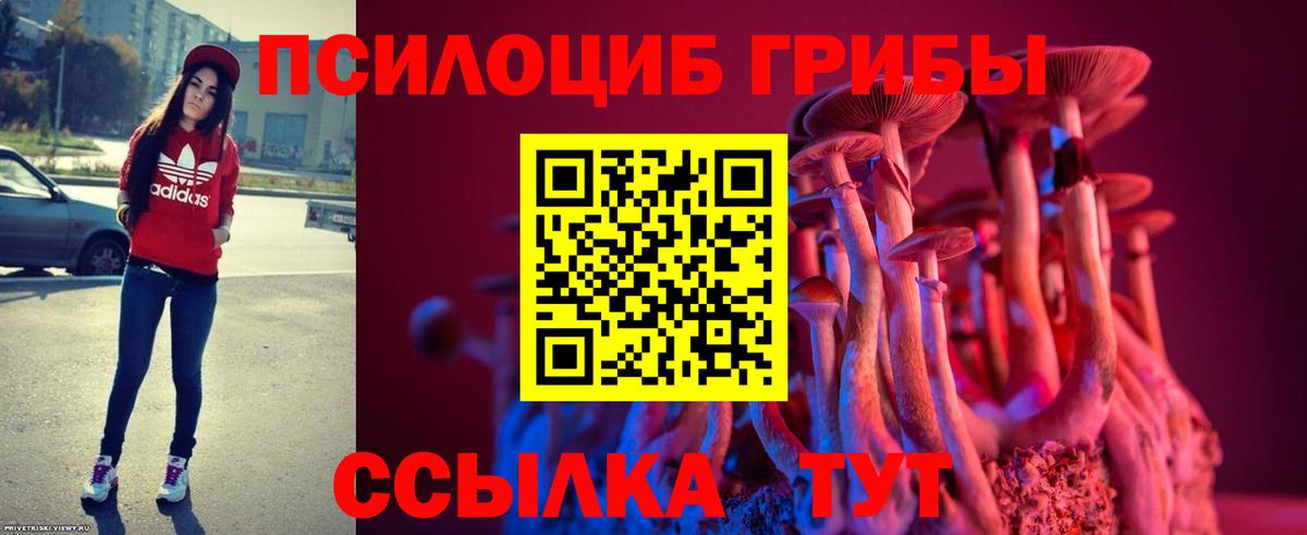 Ишим  Псилоцибиновые грибы мицелий  Вход с VPN 